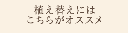 植え替えにはこちらがオススメ