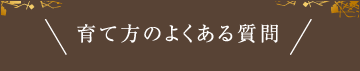 育て方のよくある質問