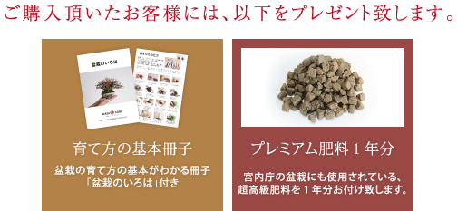 ご購入頂いたお客様には、以下をプレゼント致します。