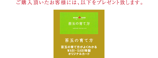 ご購入頂いたお客様には、以下をプレゼント致します。