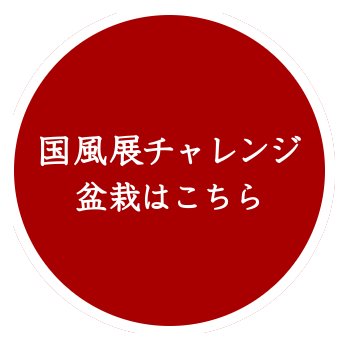 国風展商品ボタン