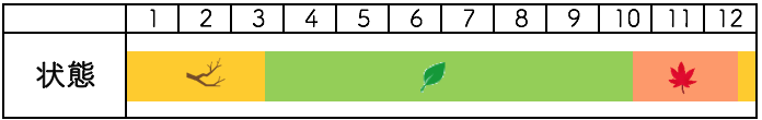 モミジの年間樹種姿